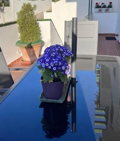 El Nido Del Ama Apartment Malaga Exterior photo