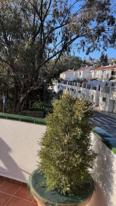 El Nido Del Ama Malaga